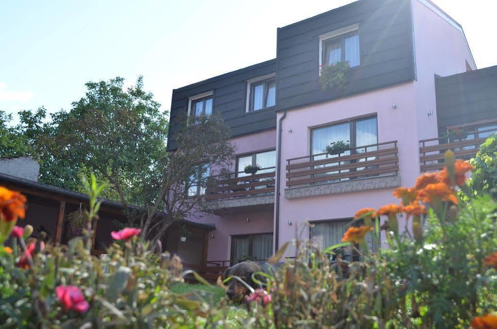Pensiunea Andy Braşov Exterior foto