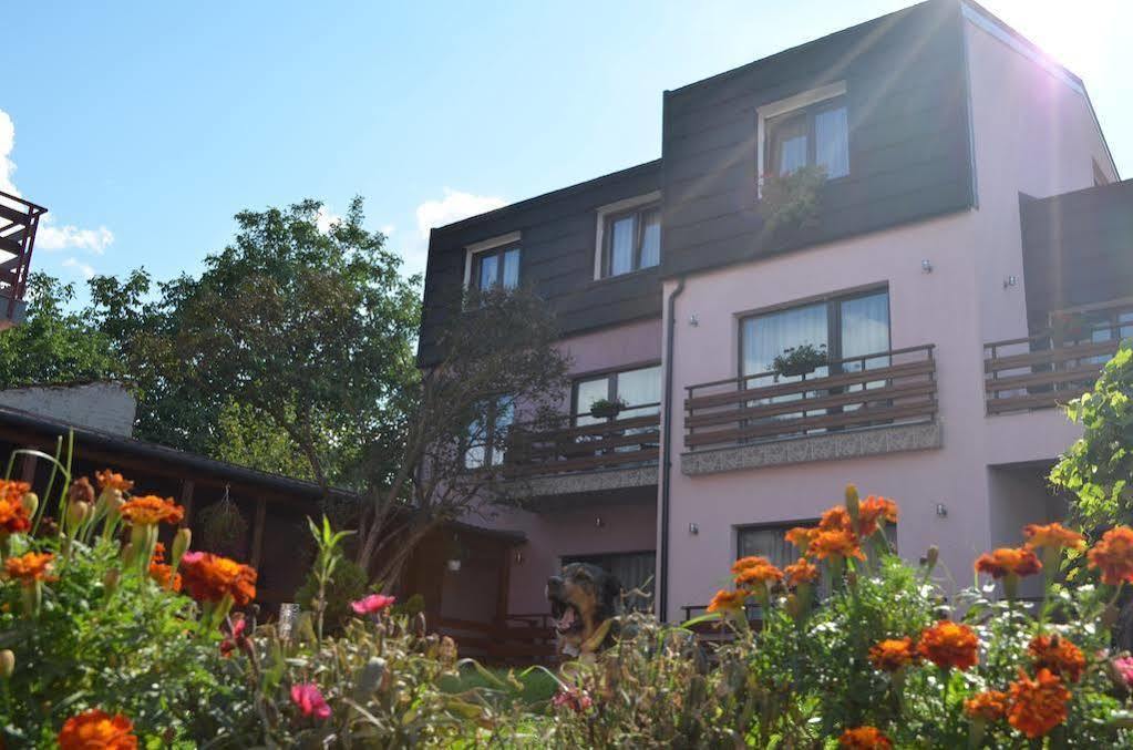 Pensiunea Andy Braşov Exterior foto
